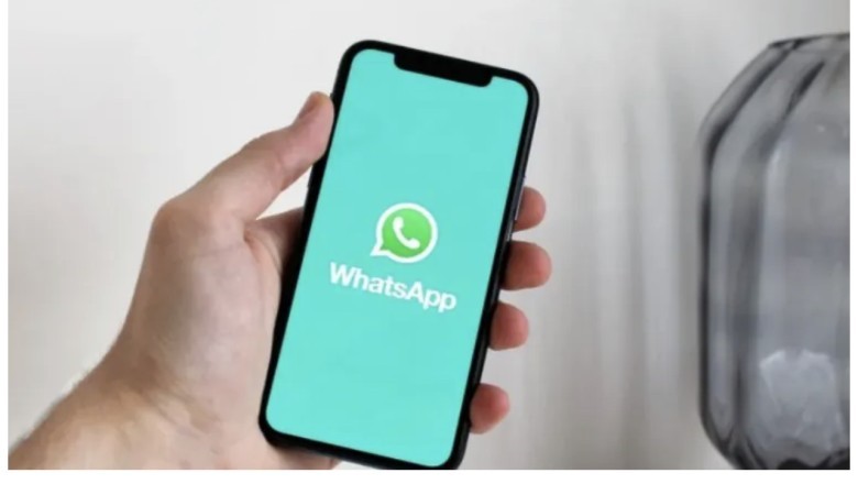 Rënia e WhatsApp i kushtoi 40,000 euro CEO-s së TIM