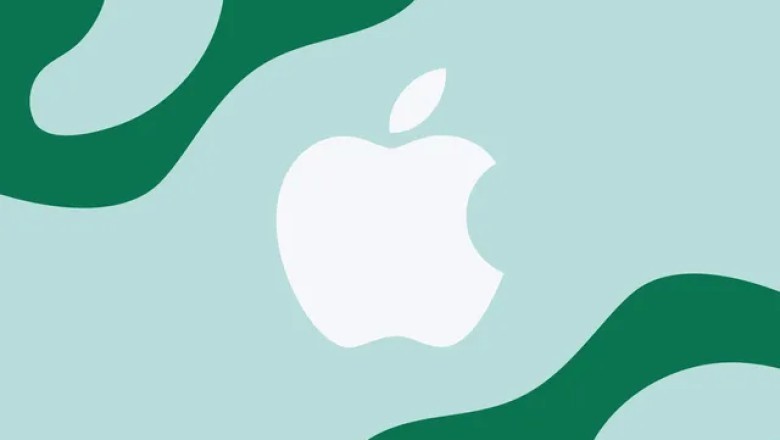 Apple nis pushimet nga puna