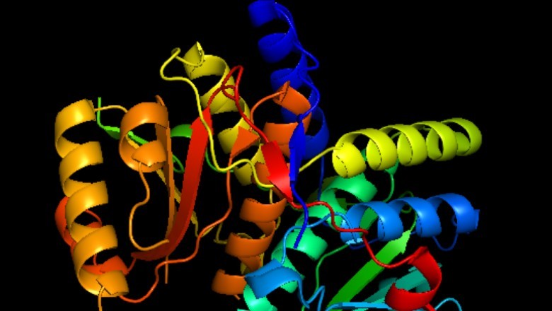 Inteligjenca Artificiale harton proteina që nuk janë parë kurrë më parë