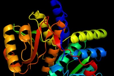 Inteligjenca Artificiale harton proteina që nuk janë parë kurrë më parë