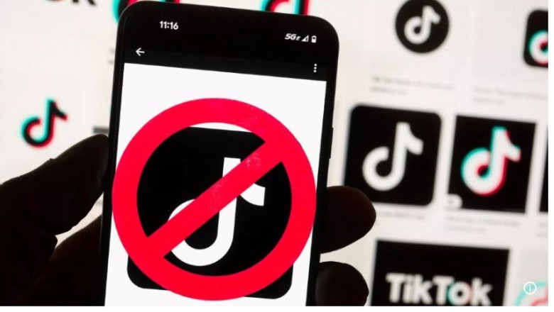 Këto janë shtetet që kanë ndaluar Tik-Tok...