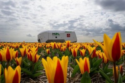 Ndodhi/Fermerët holandezë blejnë robotin 185,000 euro për t'i mbajtur tulipanët e tyre të lulëzuar