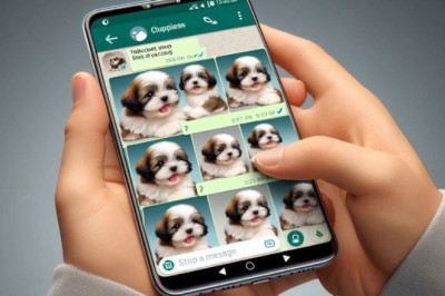WhatsApp do ta bëjë më të lehtë hapjen e bibliotekës së fotografive, ja si do të funksionojë
