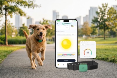 WellPet.ai Lançon "Zëri i Vërtetë i Qenve", Një Eksperiment Social Live Që Zbulon një Mundësi Tregu prej €5.8 Miliardë